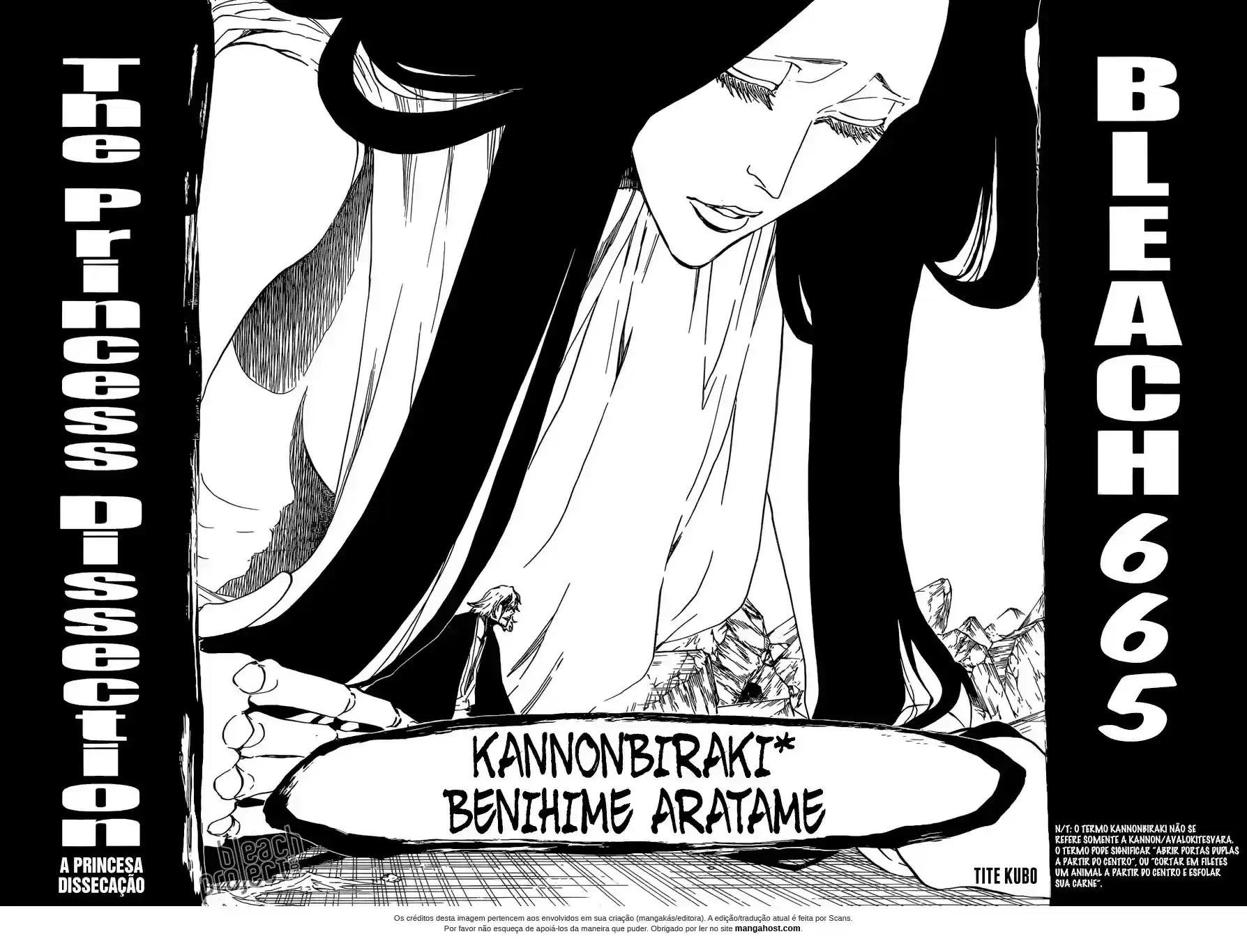 Read Bleach pt Manga Online