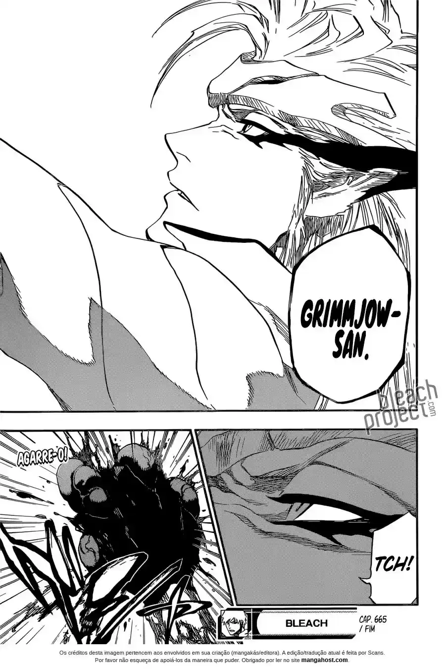 Read Bleach pt Manga Online