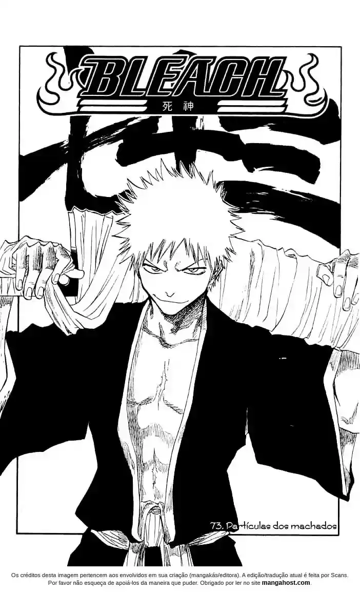 Read Bleach pt Manga Online