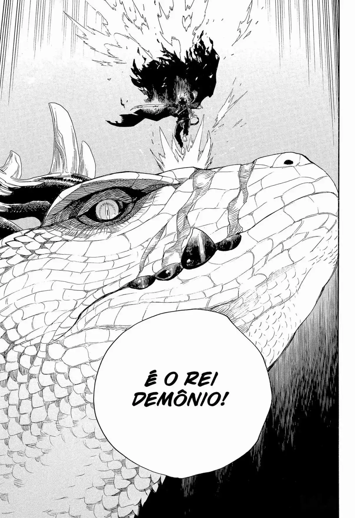 Read Blue Exorcist pt Manga Online