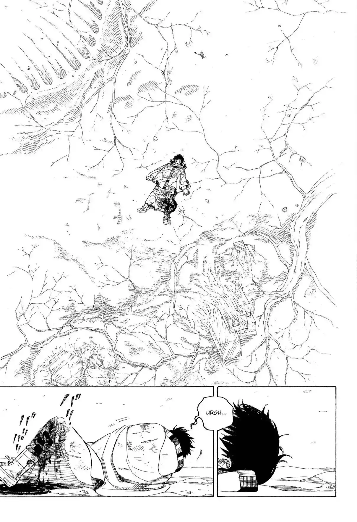 Read Blue Exorcist pt Manga Online