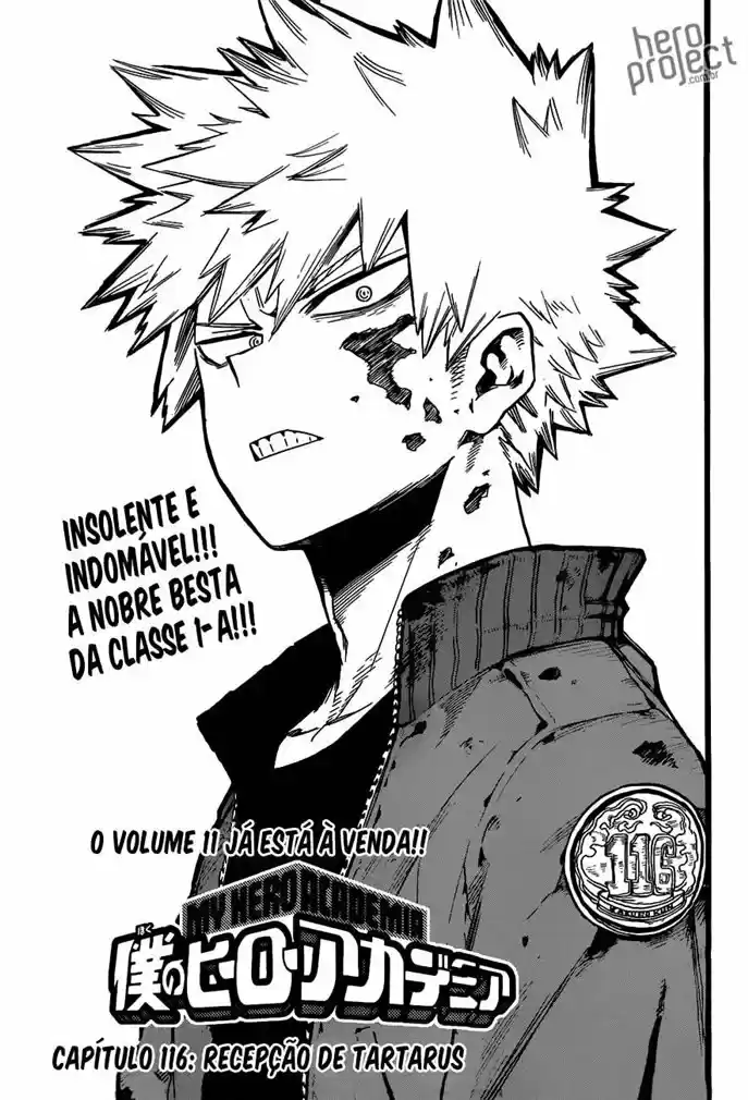 Read Boku no Hero pt Manga Online