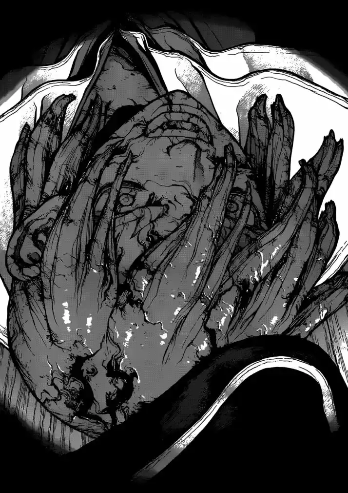 Read Dr Stone pt Manga Online