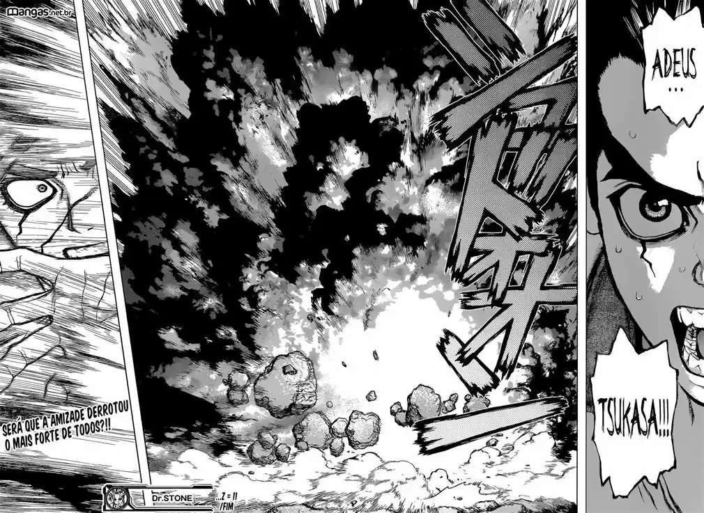Read Dr Stone pt Manga Online