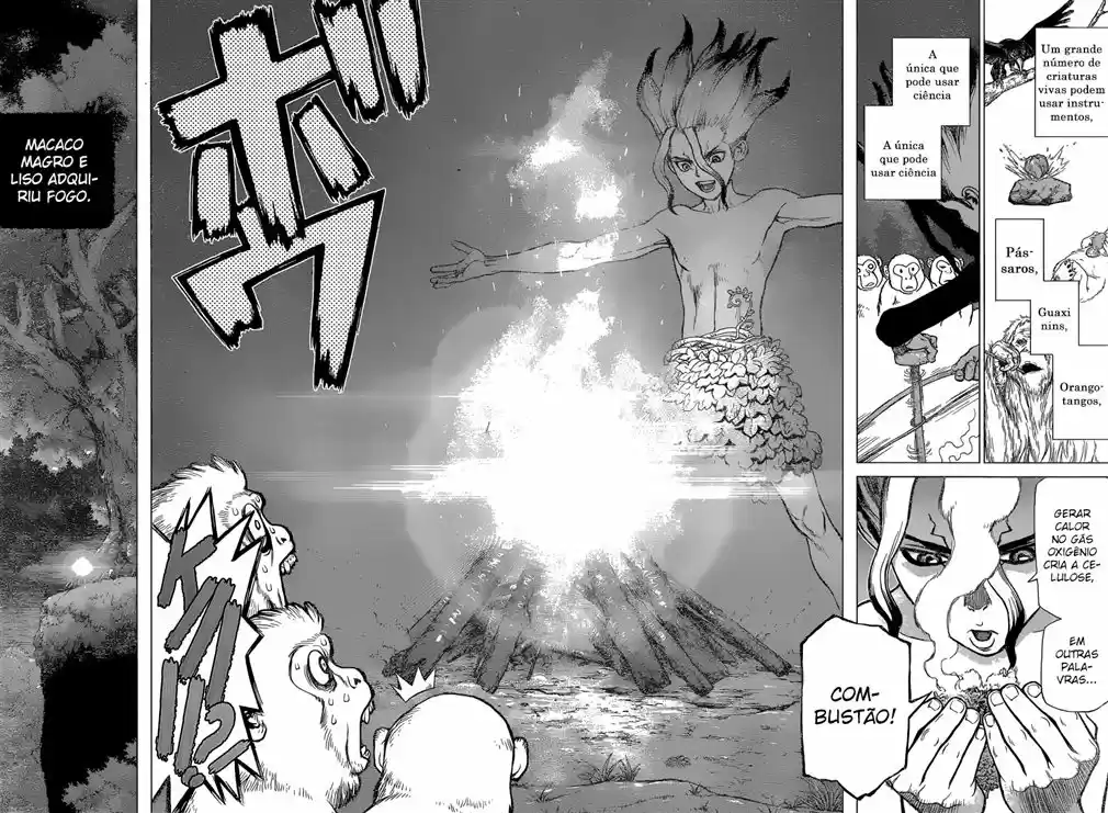 Read Dr Stone pt Manga Online