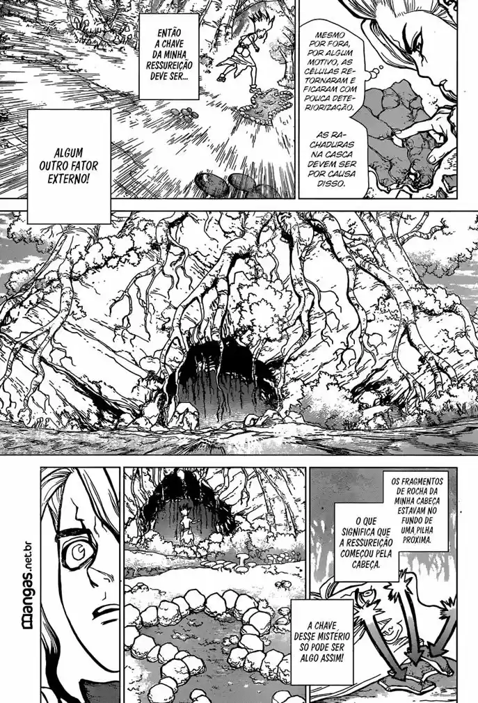 Read Dr Stone pt Manga Online