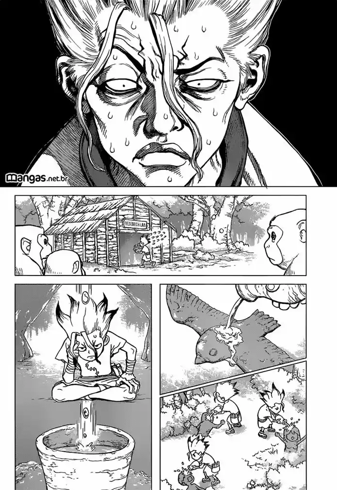 Read Dr Stone pt Manga Online