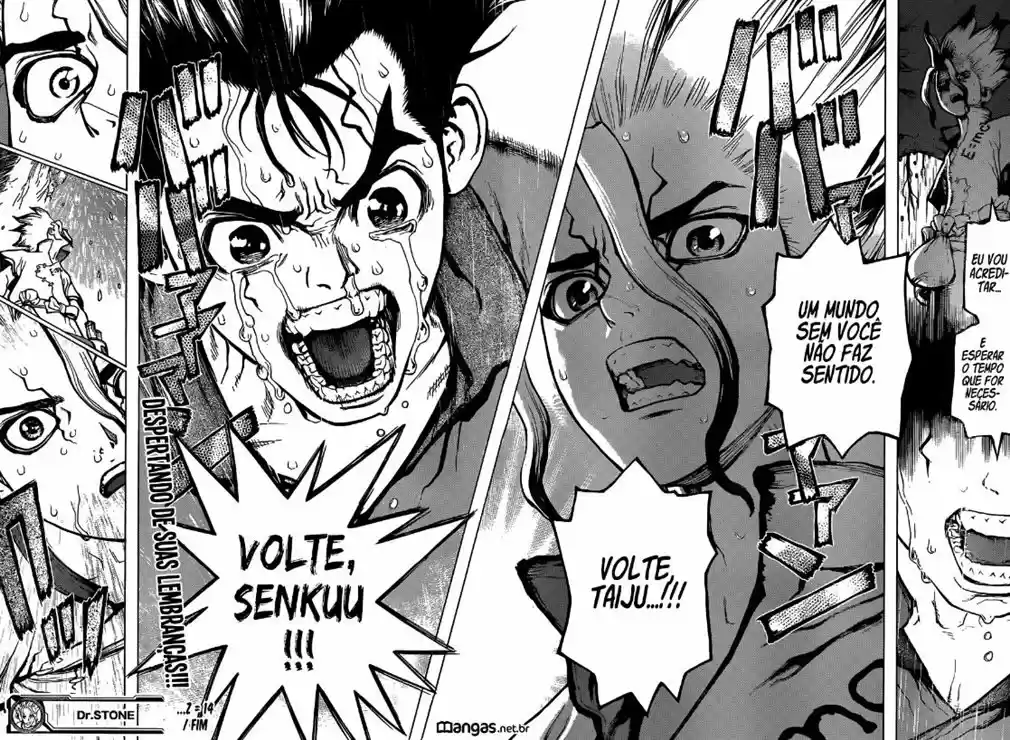Read Dr Stone pt Manga Online