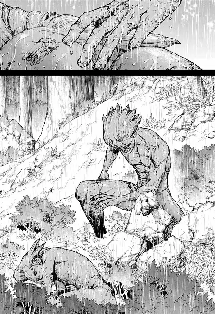 Read Dr Stone pt Manga Online