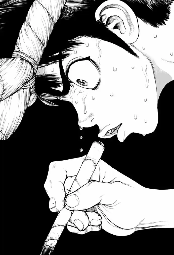 Read Dr Stone pt Manga Online