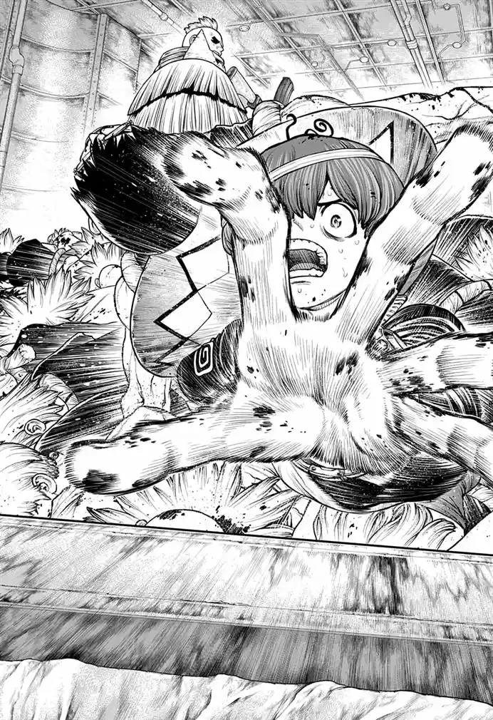 Read Dr Stone pt Manga Online