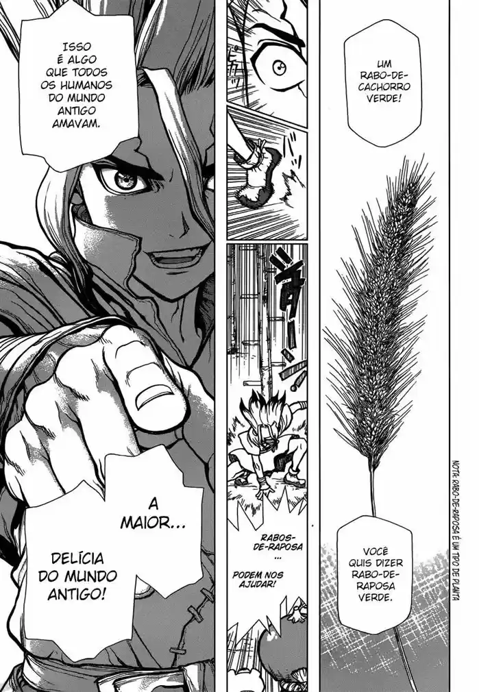 Read Dr Stone pt Manga Online