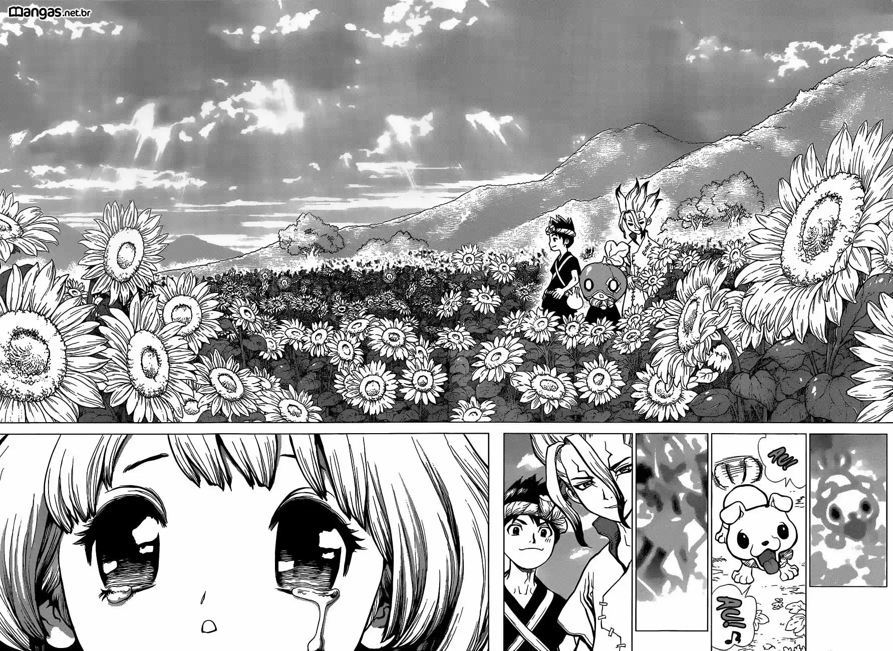 Read Dr Stone pt Manga Online