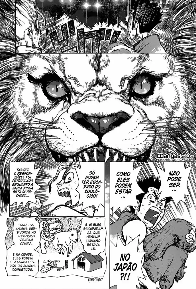 Read Dr Stone pt Manga Online