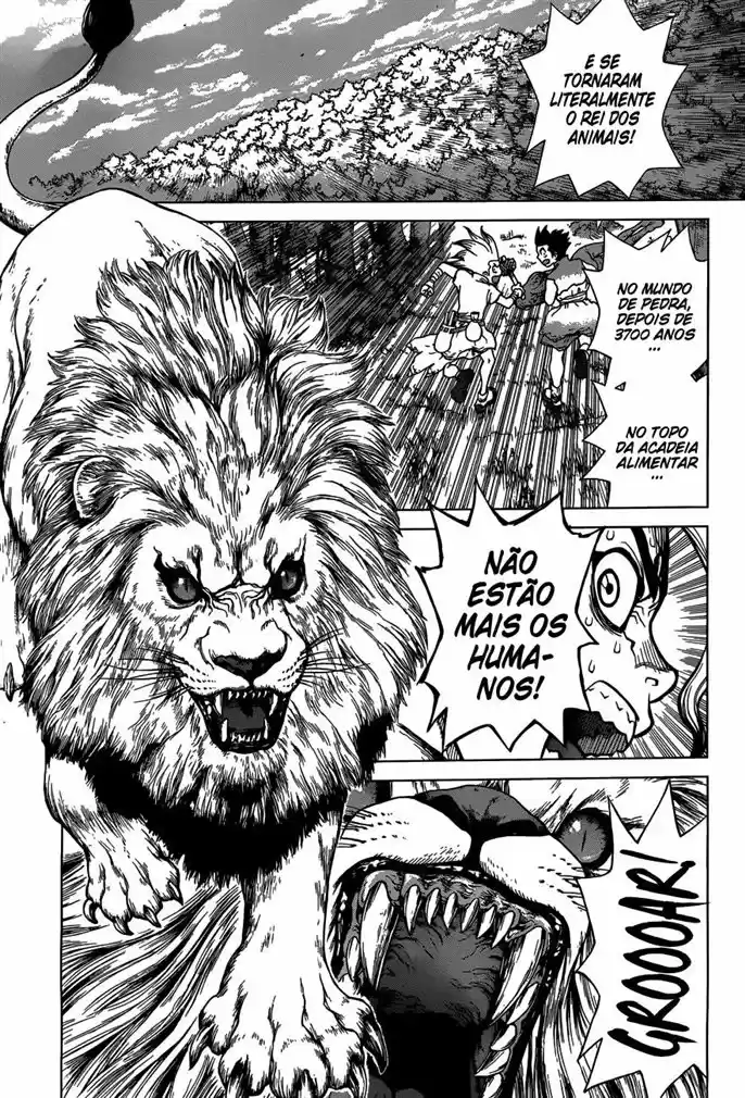 Read Dr Stone pt Manga Online