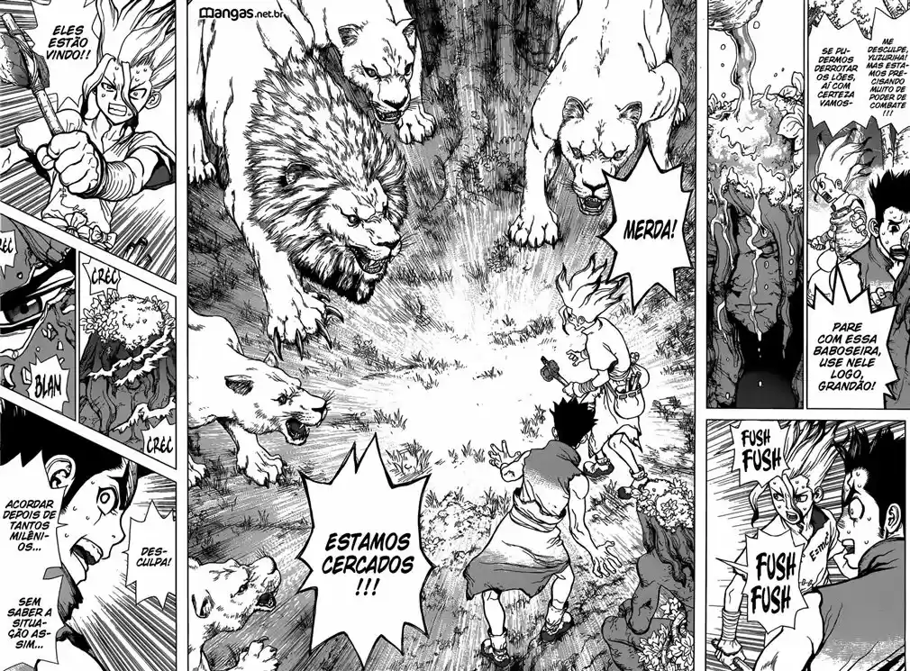Read Dr Stone pt Manga Online