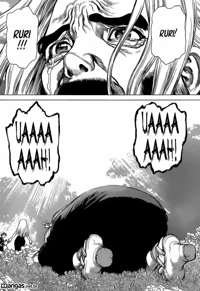 Read Dr Stone pt Manga Online