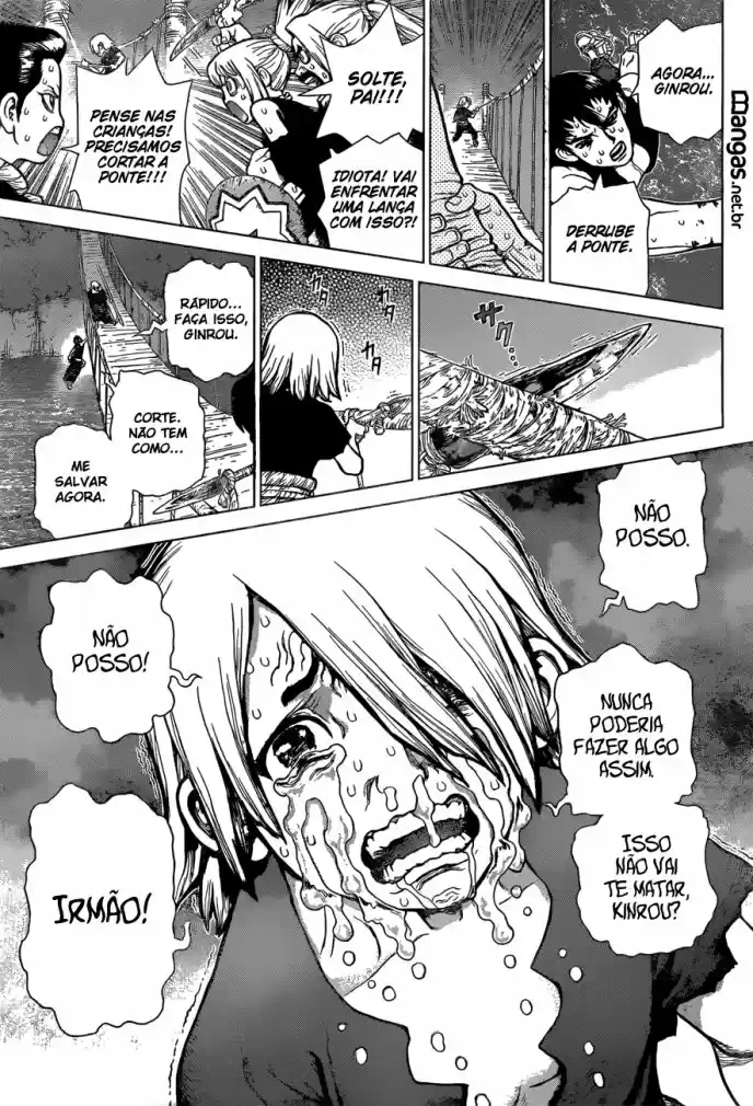 Read Dr Stone pt Manga Online