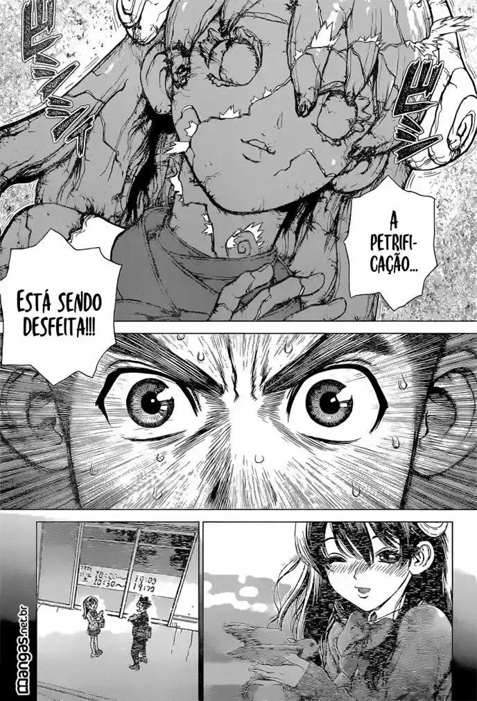 Read Dr Stone pt Manga Online
