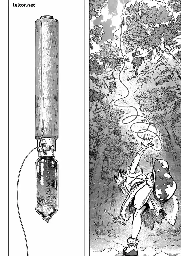 Read Dr Stone pt Manga Online