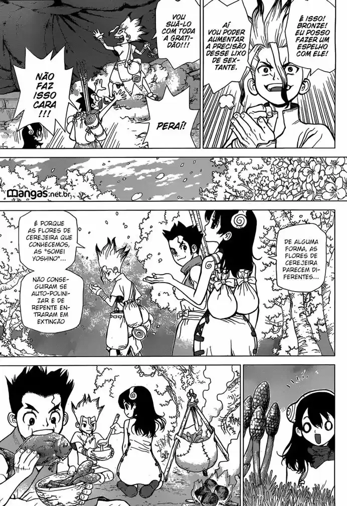 Read Dr Stone pt Manga Online