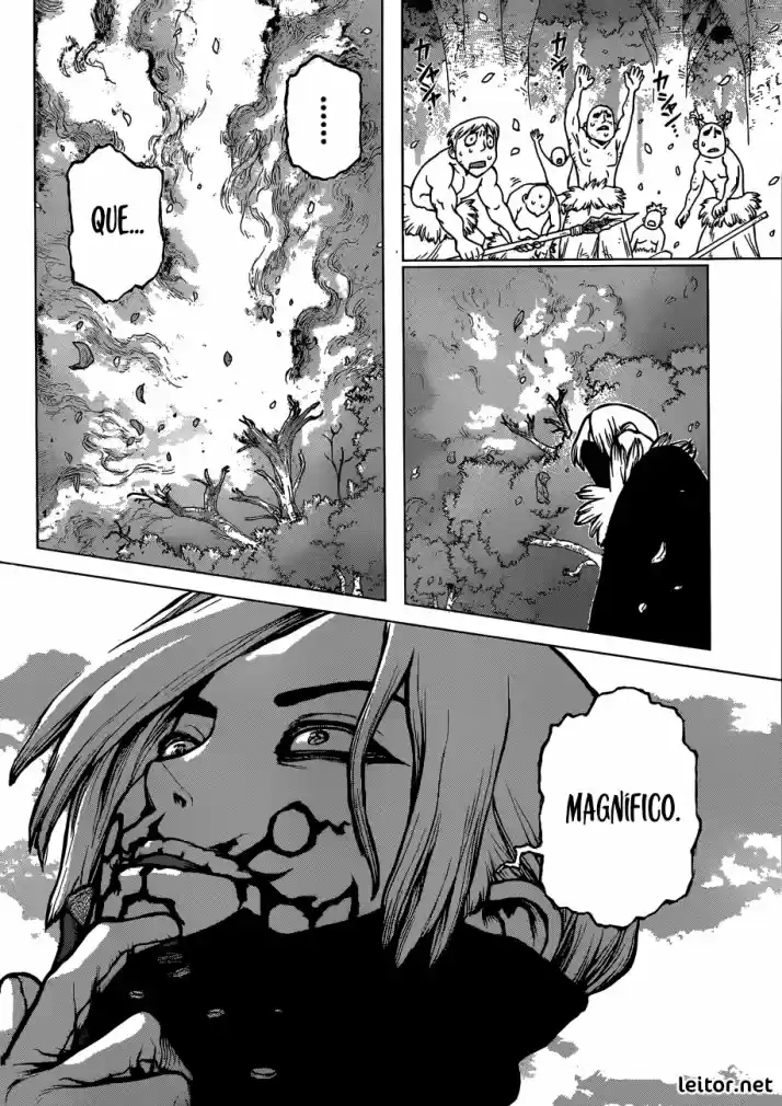 Read Dr Stone pt Manga Online