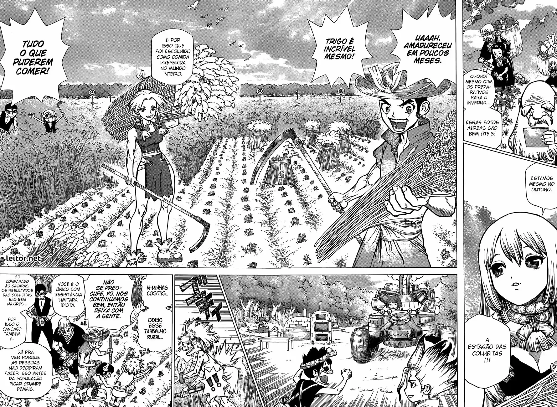 Read Dr Stone pt Manga Online