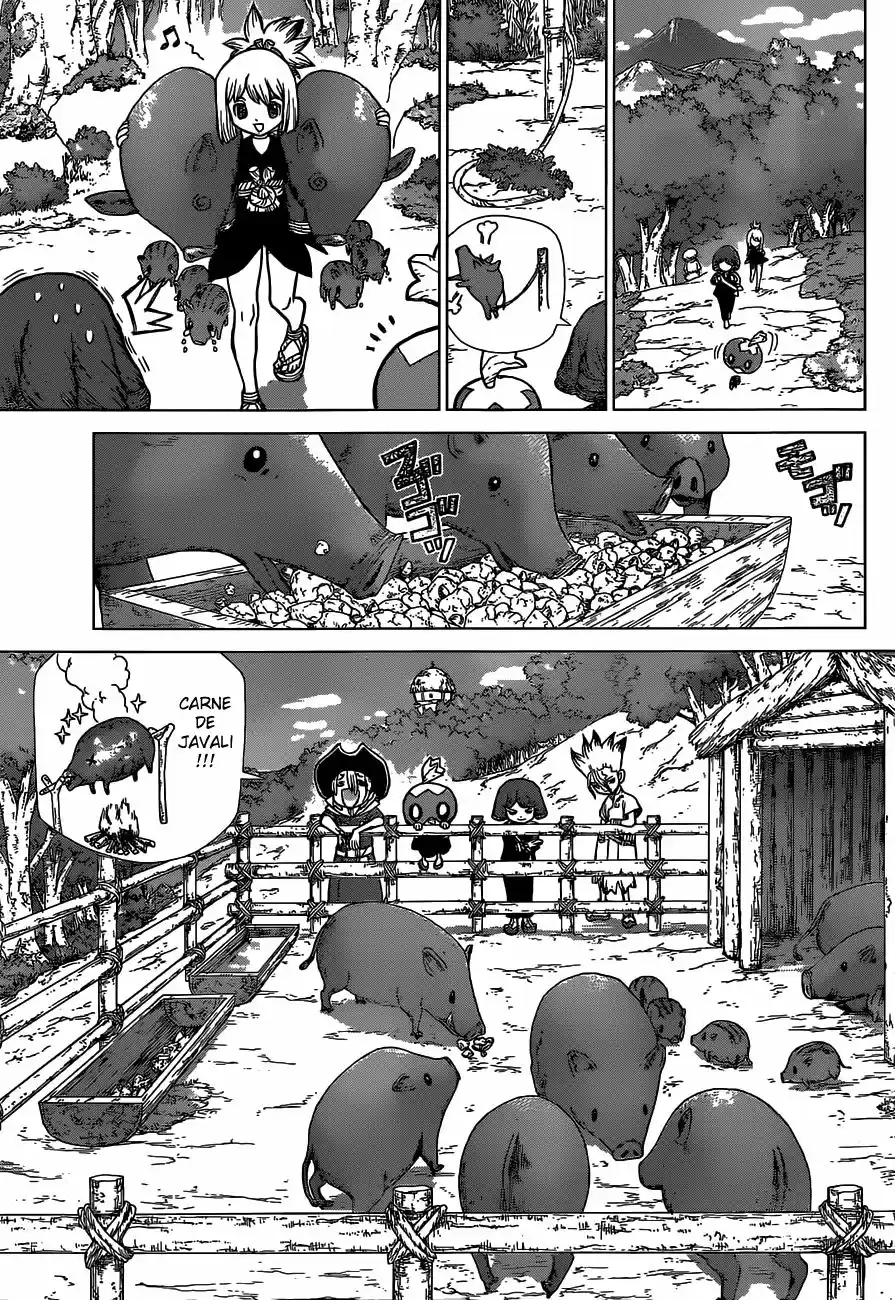 Read Dr Stone pt Manga Online