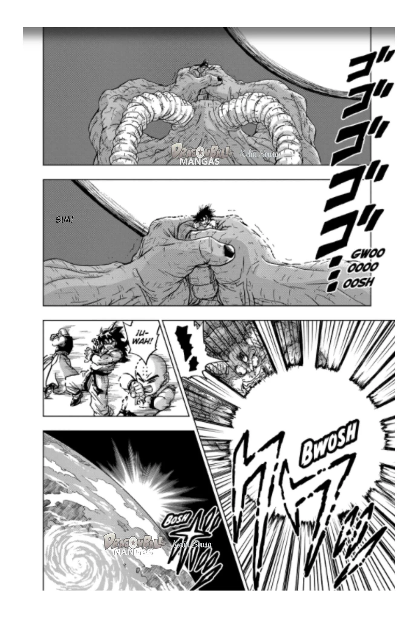 Read Dragon Ball Super pt Manga Online