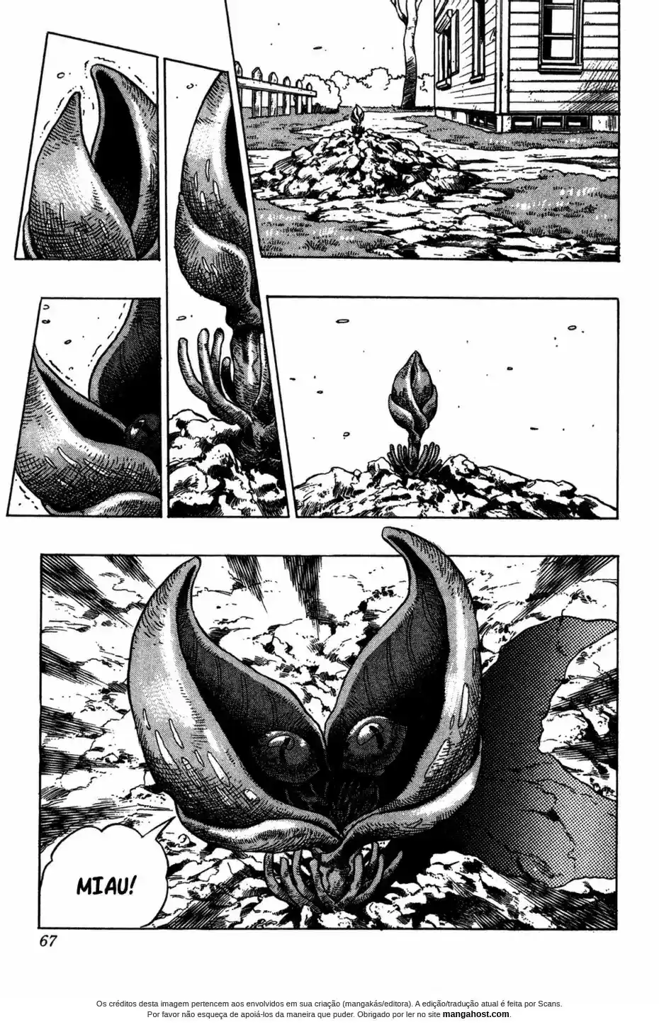 Read Jojo’s Bizarre Adventure pt Manga Online