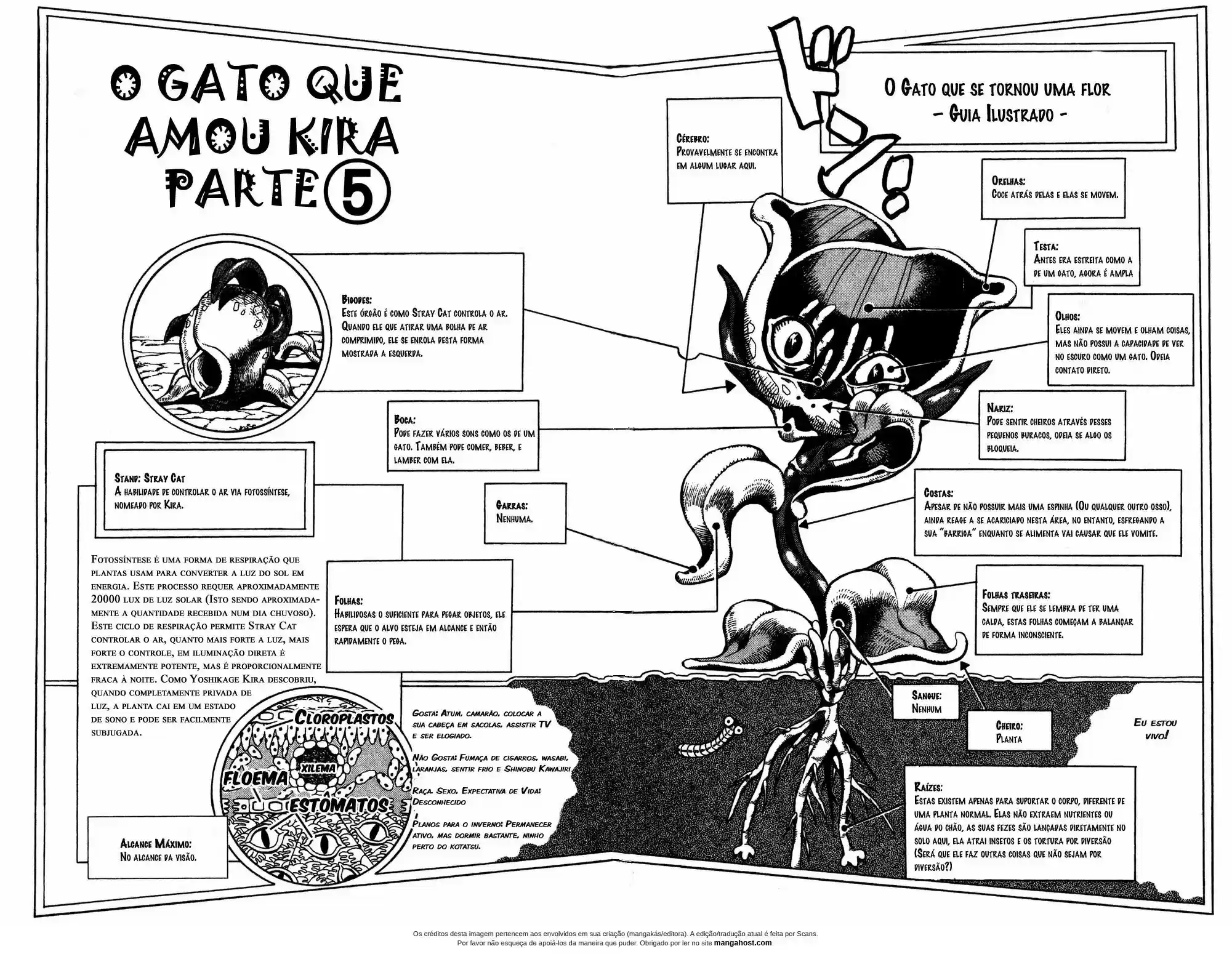 Read Jojo’s Bizarre Adventure pt Manga Online