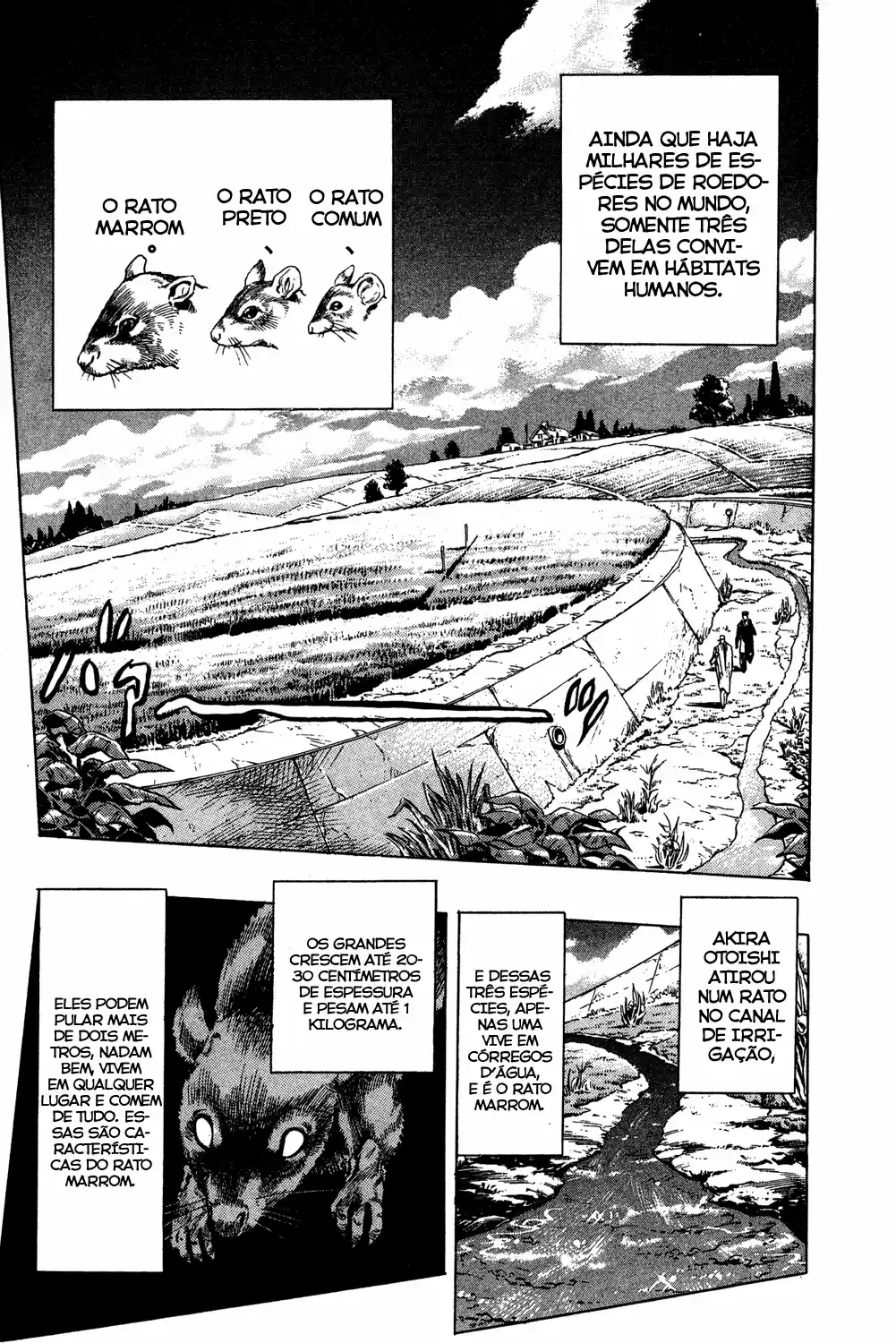 Read Jojo’s Bizarre Adventure pt Manga Online