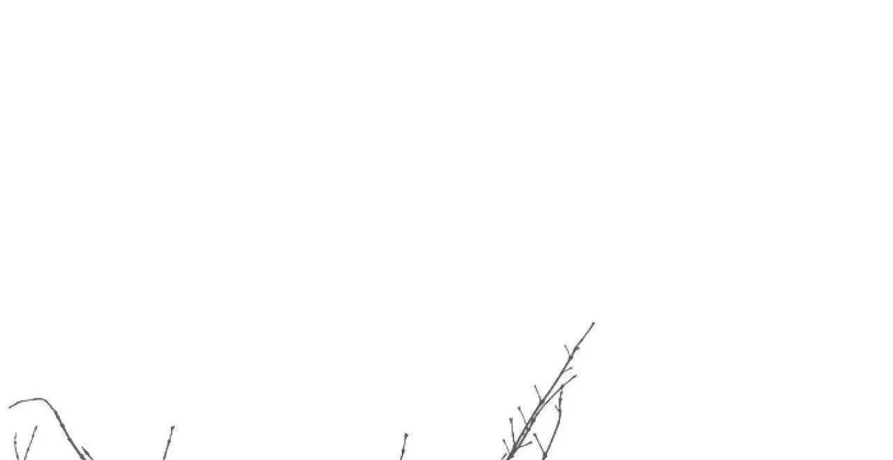 Read Limite Absoluto pt Manga Online