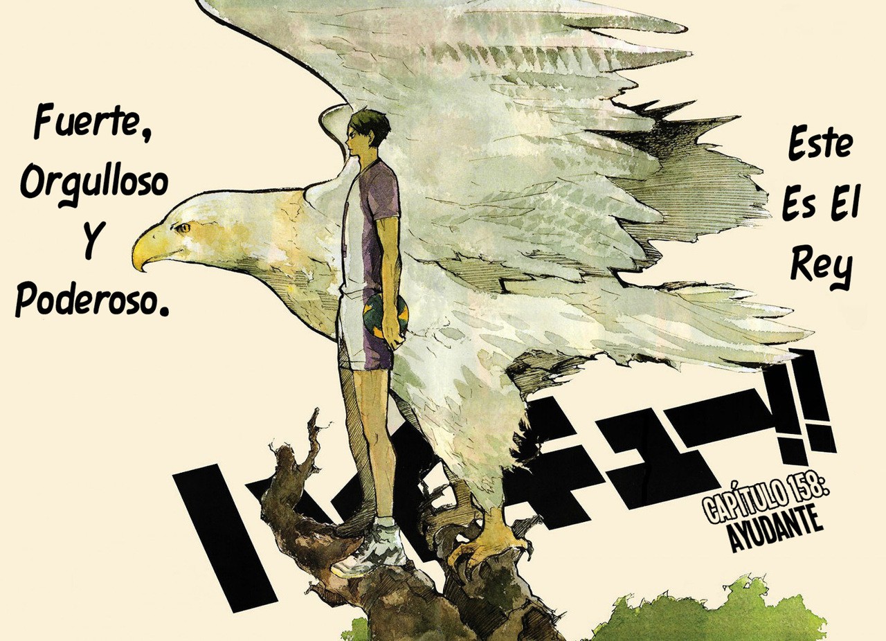 Read Haikyu ES Manga Online