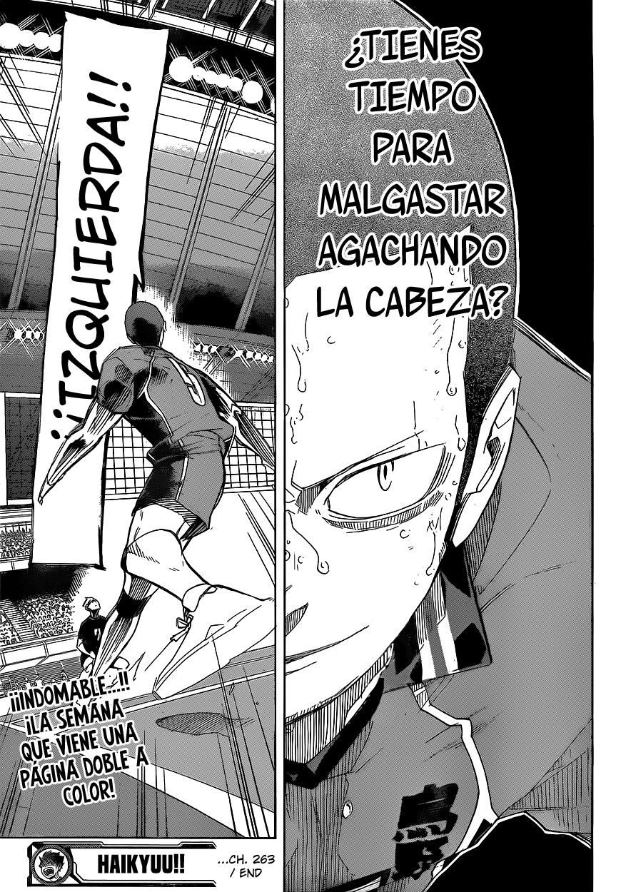 Read Haikyu ES Manga Online