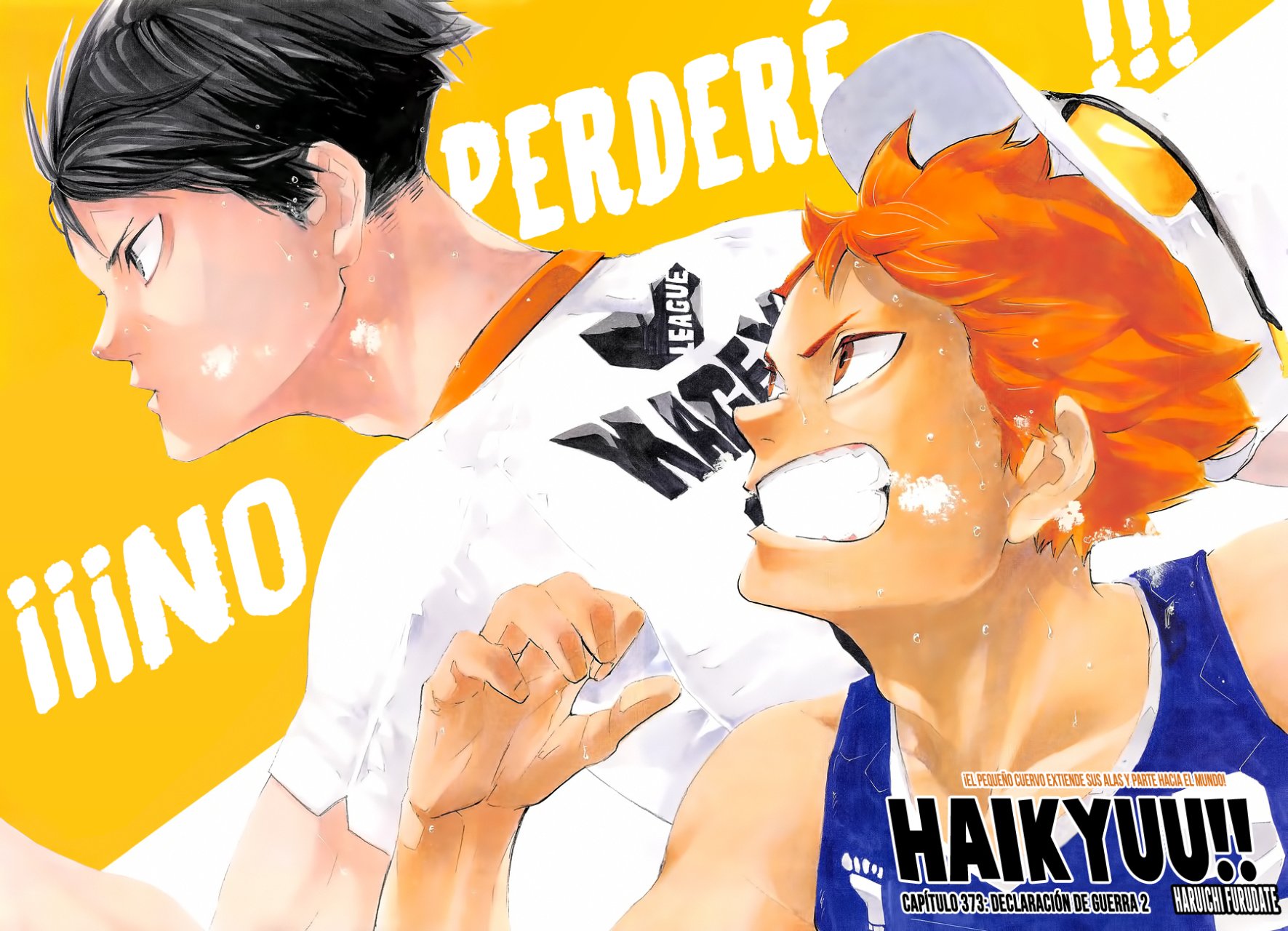 Read Haikyu ES Manga Online